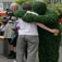 Living Topiary Giving a Tree Hug
